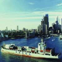 國(guó)內(nèi)海運(yùn)服務(wù)全方位解析 集裝箱、船運(yùn)與水運(yùn)的專業(yè)選擇