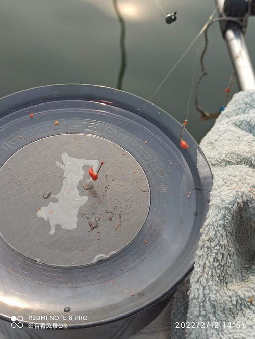 為什么迷你拉餌盒是垂釣愛好者的首選漁具