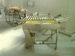 廣州黃埔區(qū)廢舊食品廠設備專業(yè)回收指南